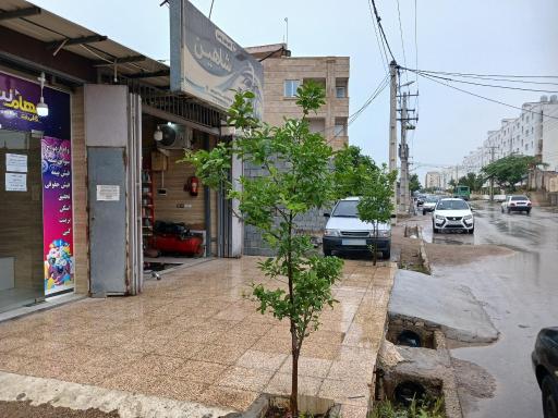 عکس تعویض روغن شاهین