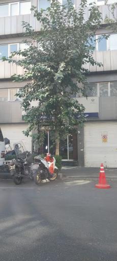 عکس سازمان تأمین اجتماعی شعبه 23