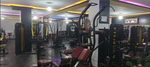 عکس باشگاه بدنسازی داود