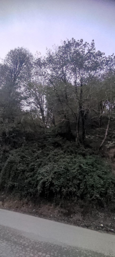 عکس رودخانه گودرزگان