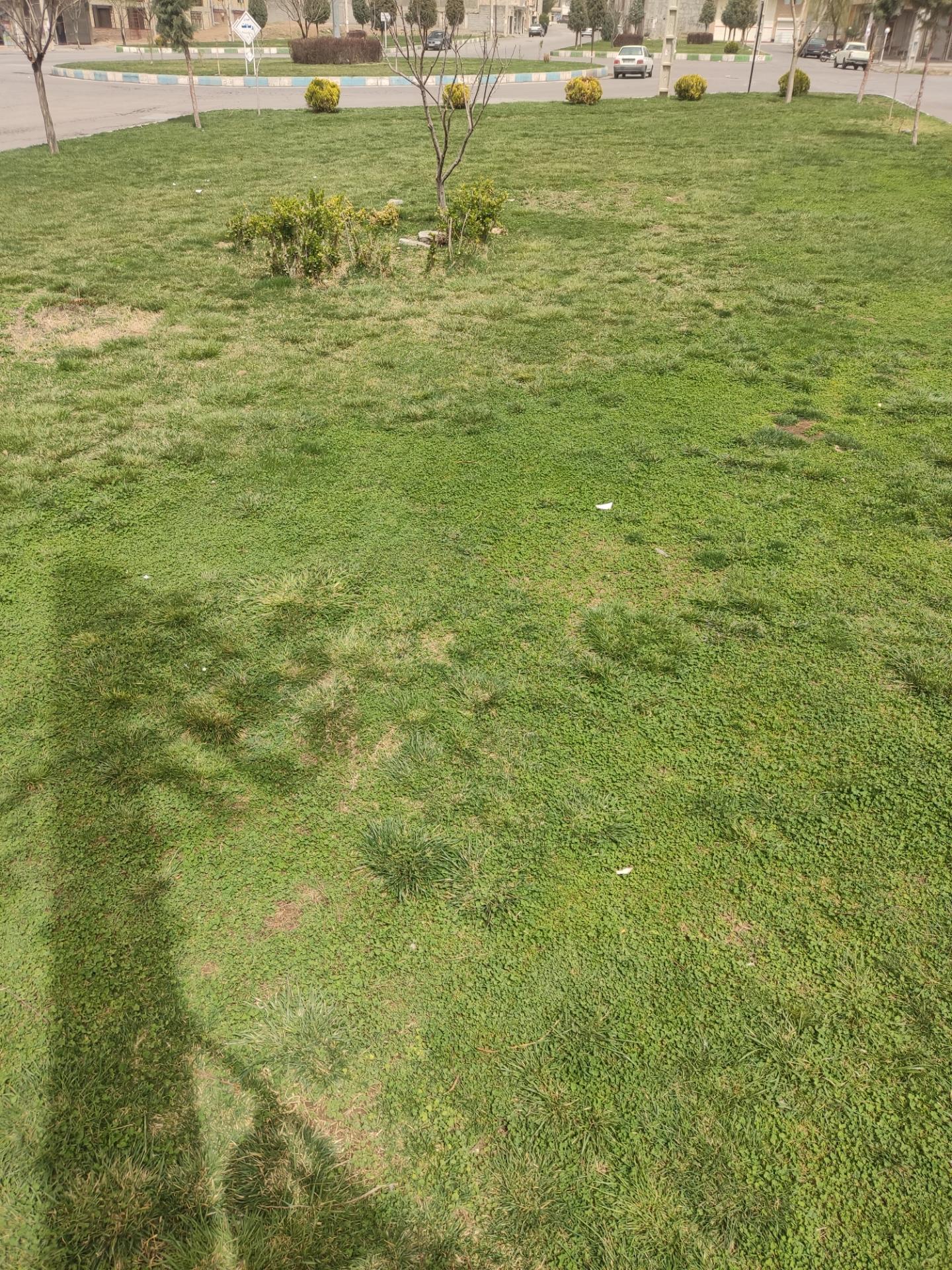 عکس فضای سبز