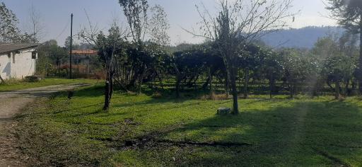 عکس گاوداري ولی الله عباس زاده
