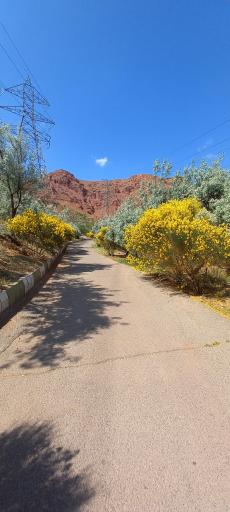 عکس بام تبریز