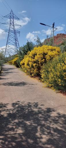 عکس بام تبریز