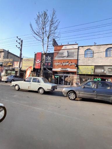 عکس عسل گلهای دماوند