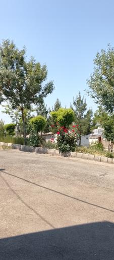 عکس فضا سبز دلشاد