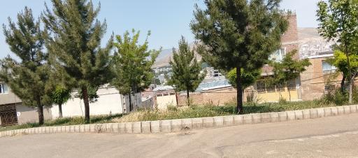 عکس فضا سبز دلشاد
