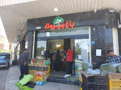 عکس میوه فروشی باغ بیروت