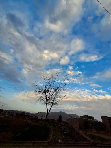 عکس بیهود
