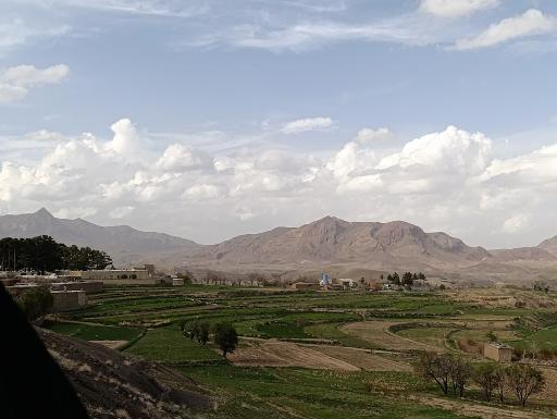 عکس بیهود