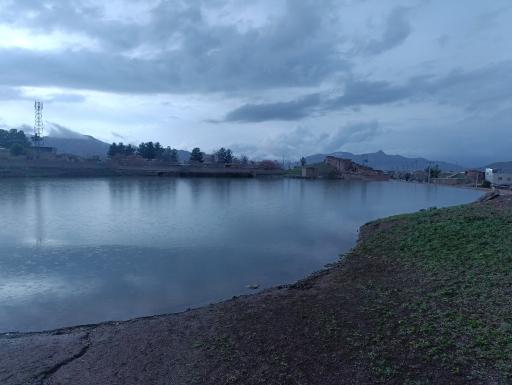عکس بیهود