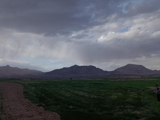 عکس بیهود