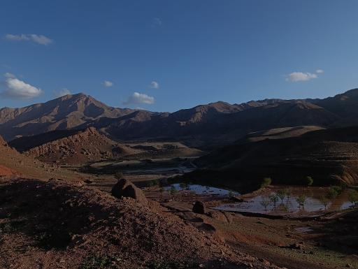 عکس بیهود