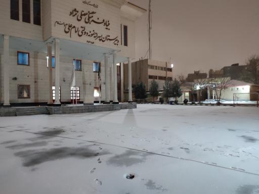 دبیرستان نمونه دولتی امام علی (ع) مصلی نژاد