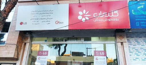 نمایندگی مجاز گلدیران 20141