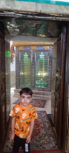 عکس امامزاده عون بن علی