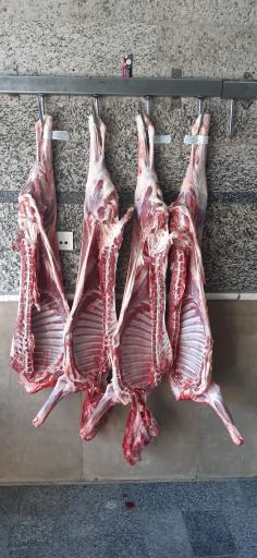 عکس سوپر گوشت متین