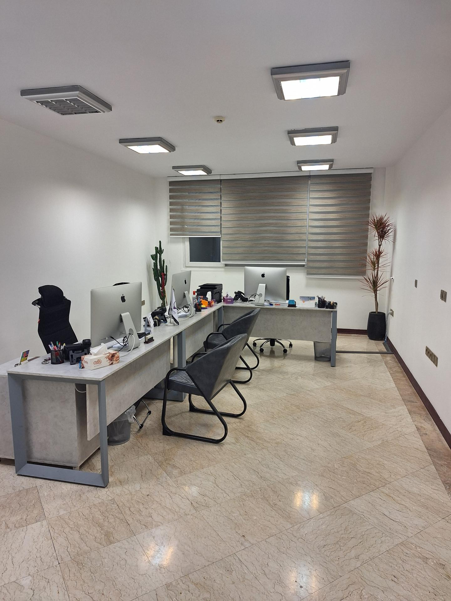 عکس آریا هیربدگشت