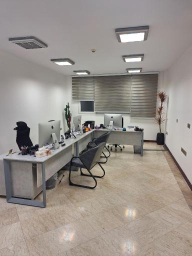 عکس آریا هیربدگشت