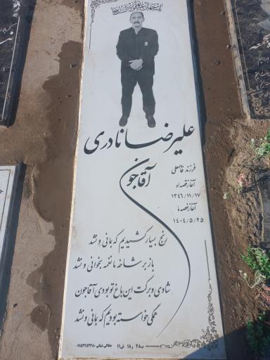 عکس مزار علیرضا نادری