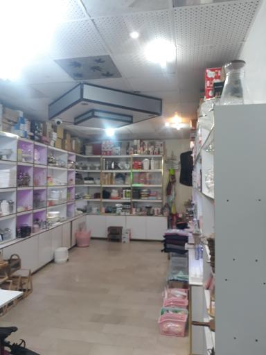 عکس گالری سوین