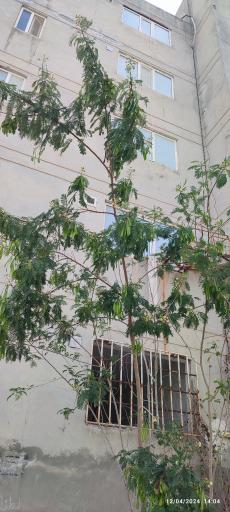 عکس بلوک ۴۶ مسکن مهر