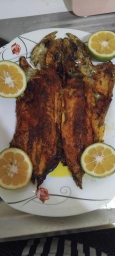 عکس کبابی و جگرکی اشکان