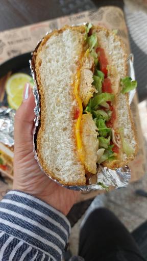 عکس پیتزا کالچر