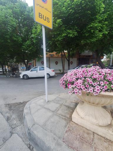 عکس عسگریه