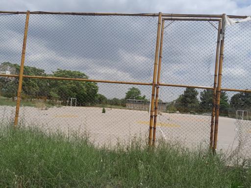 عکس مجموعه ورزشی دانشکده ادبیات و علوم انسانی