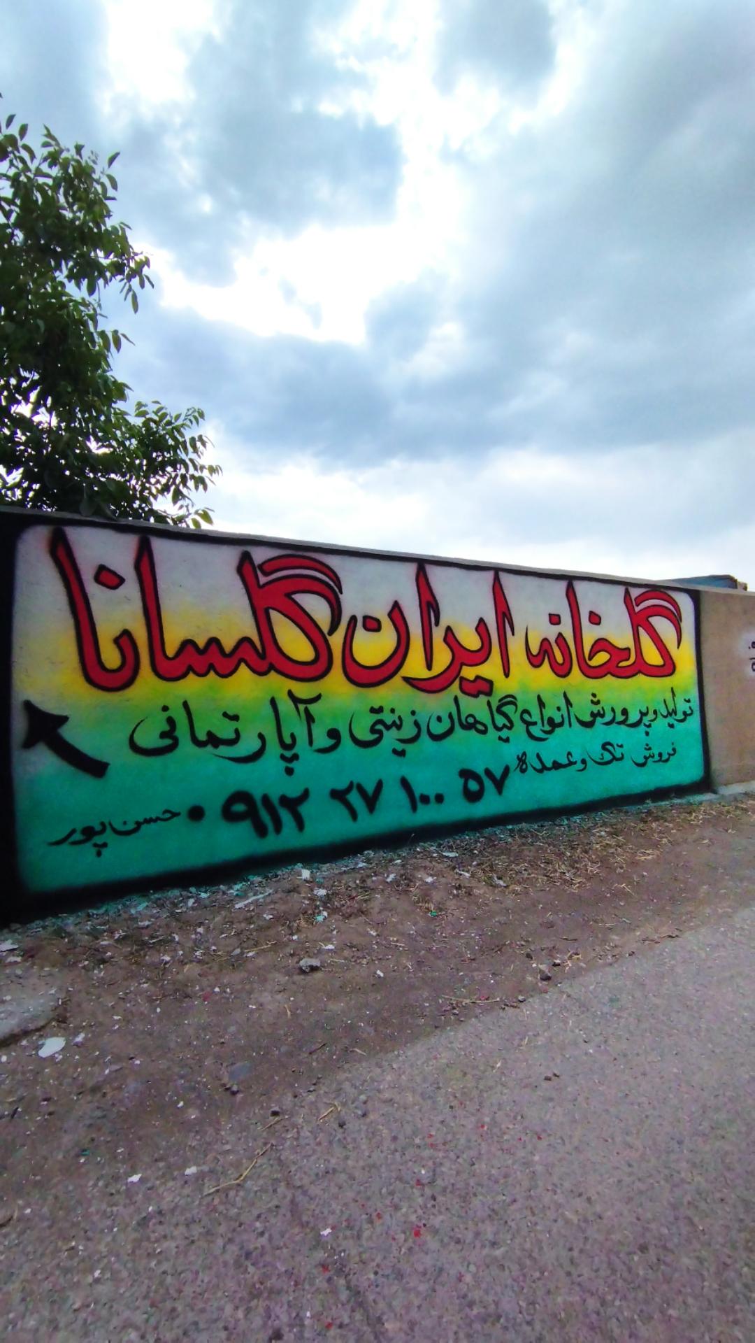 عکس گلخانه ایران گلسانا