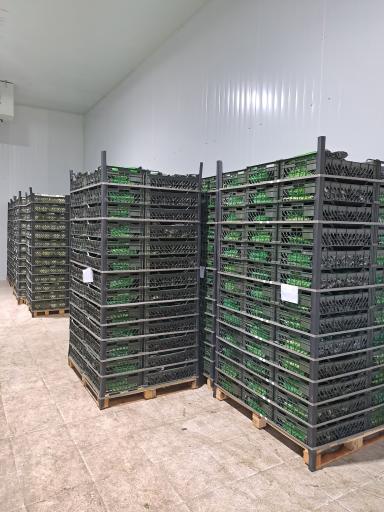 عکس سورتینگ و سردخانه رسولی