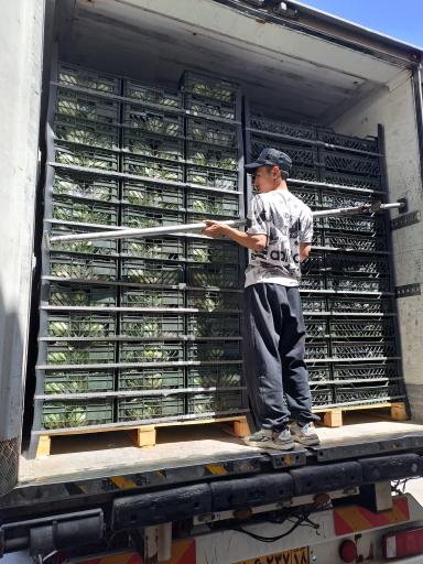 عکس سورتینگ و سردخانه رسولی