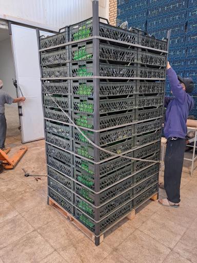 عکس سورتینگ و سردخانه رسولی