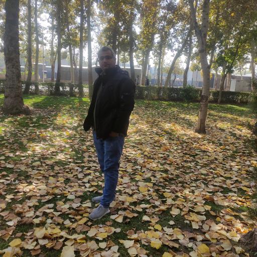 عکس پارک ورودی شهر