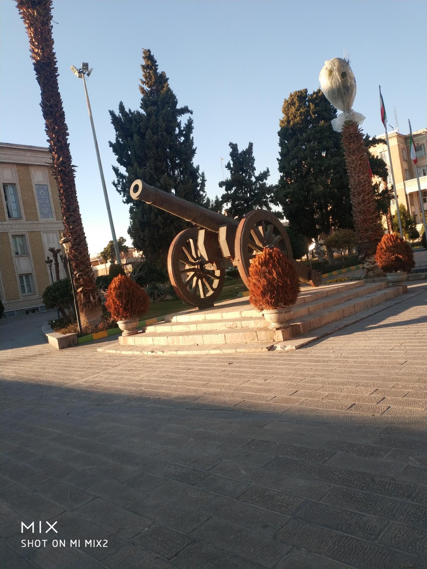 عکس توپ مروارید