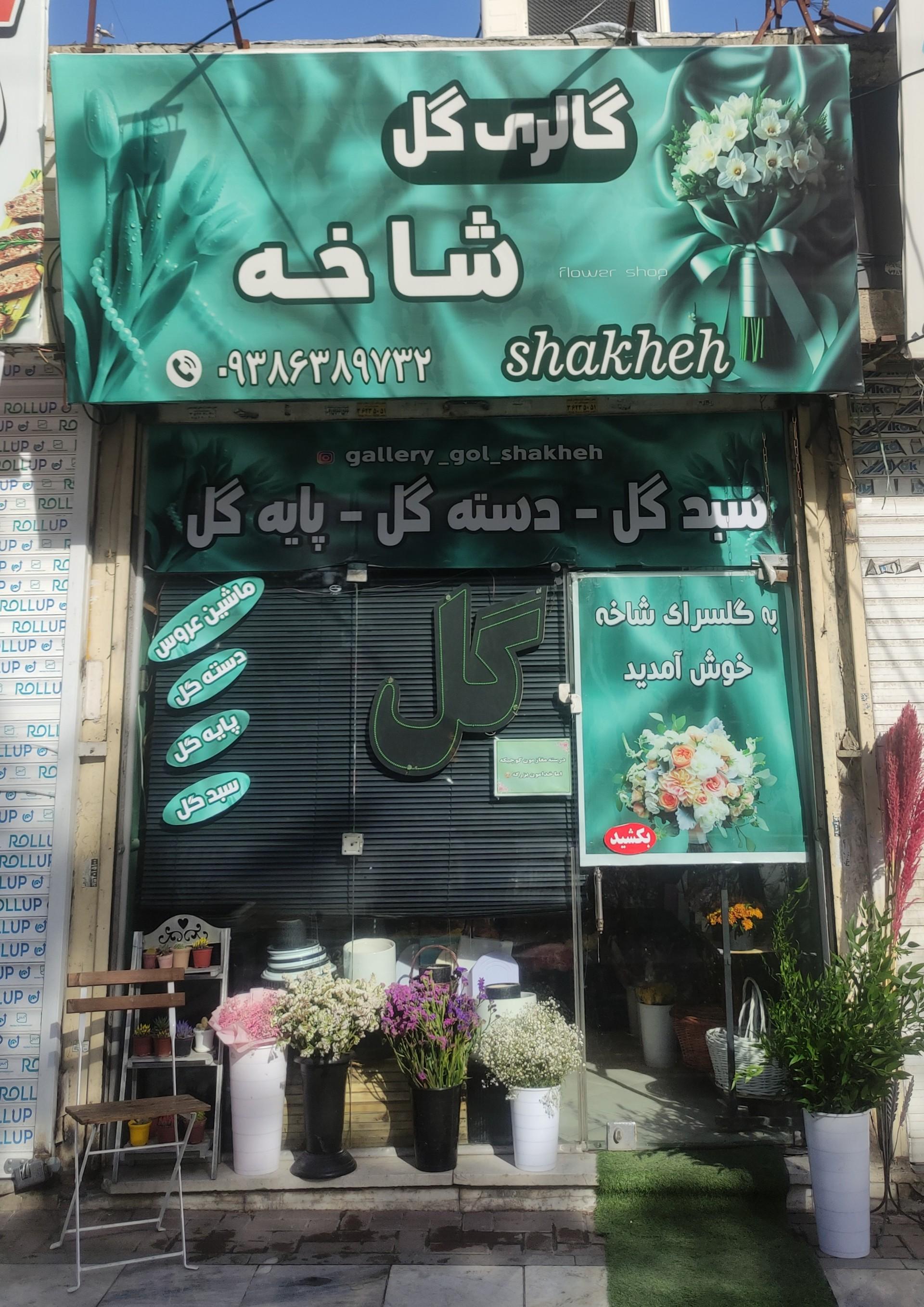 عکس گالری گل شاخه 