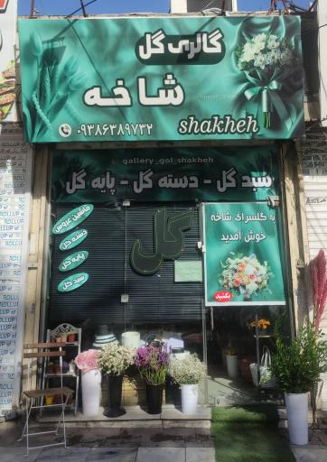 عکس گالری گل شاخه 