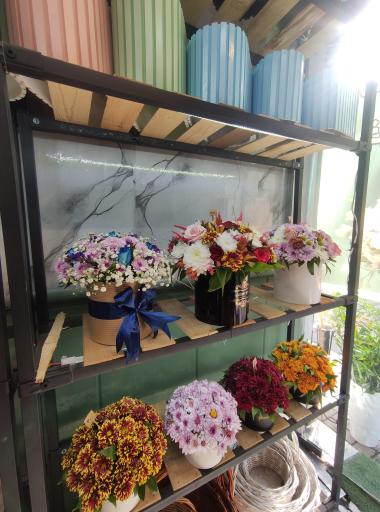 عکس گالری گل شاخه 