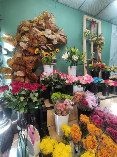 عکس گالری گل شاخه 