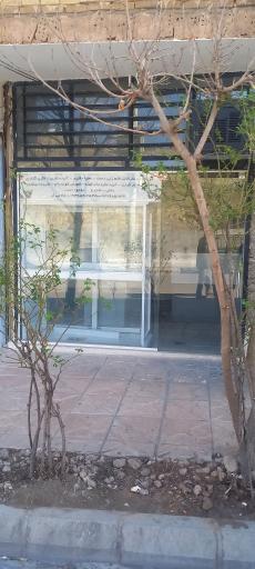 عکس قلم زنی دست خادمی فر
