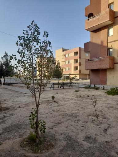 عکس مجتمع نسیم