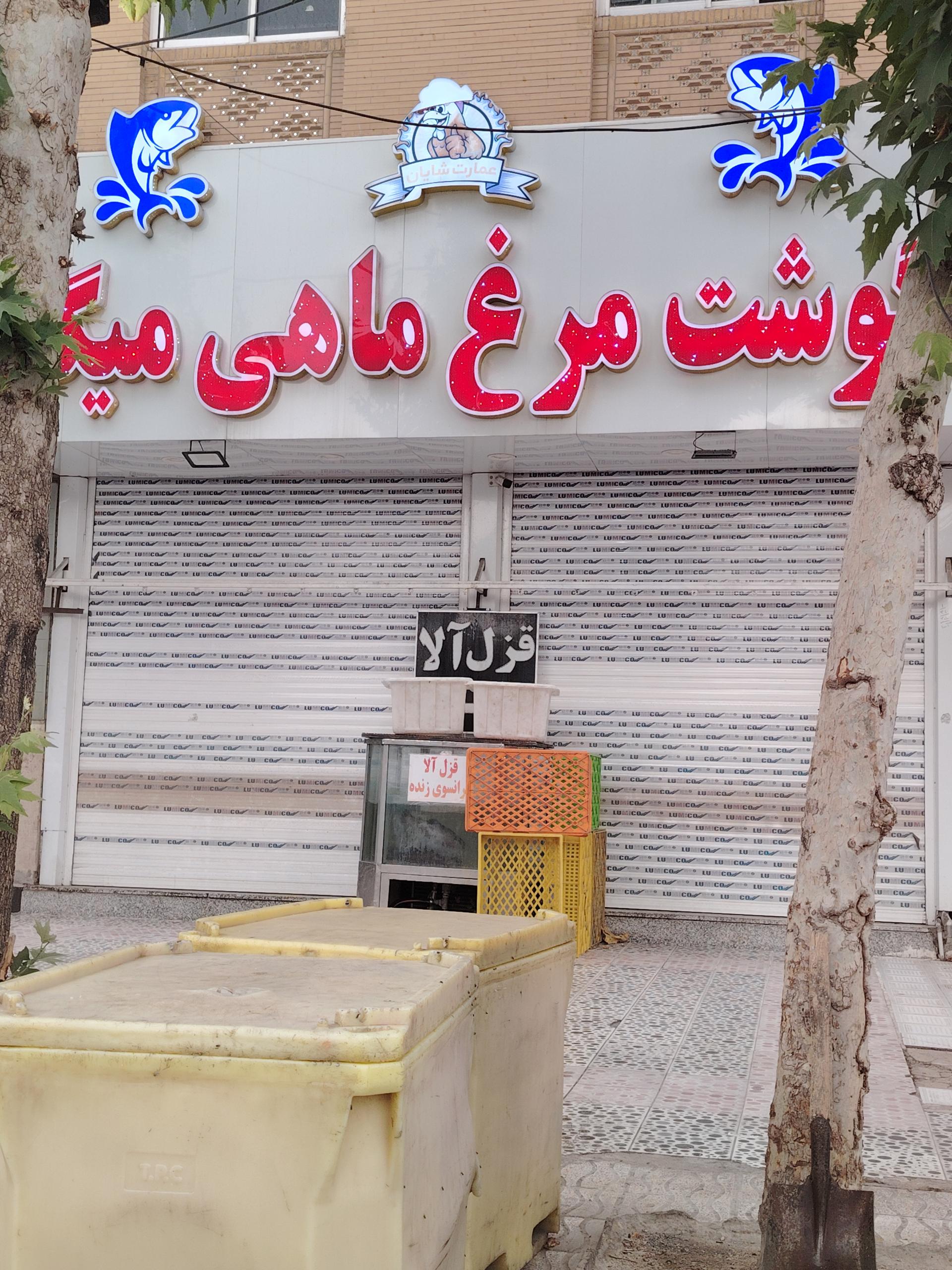 عکس فروشگاه گوشت مرغ و ماهی