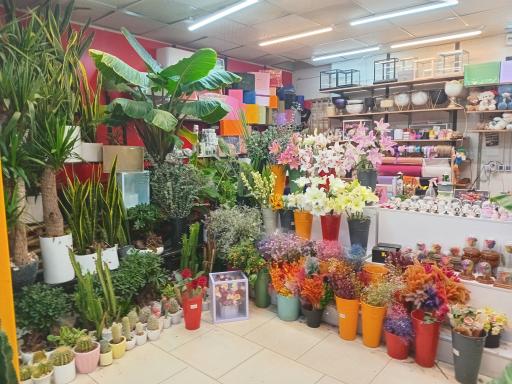 عکس گلسرای احسان