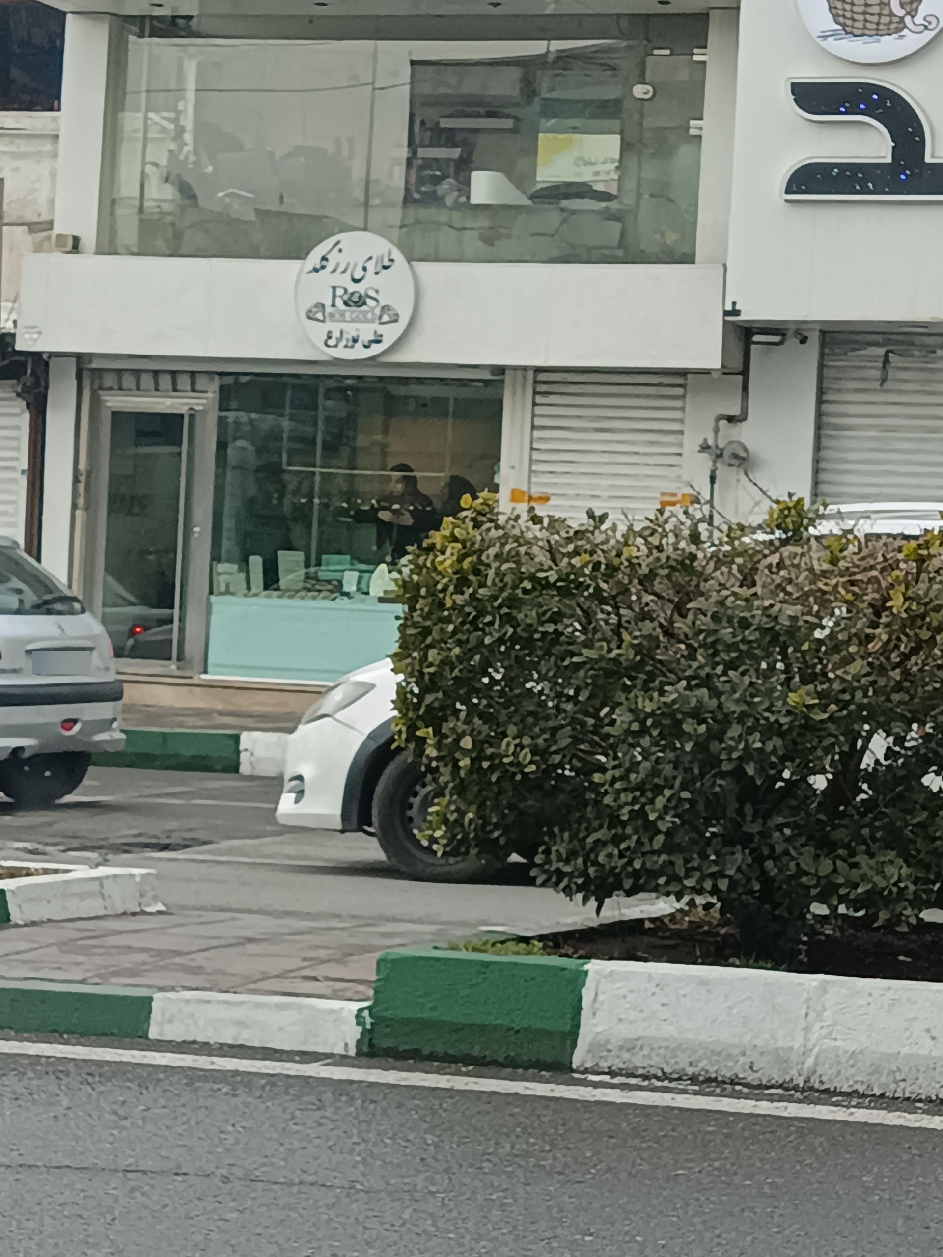 عکس طلای رز گلد