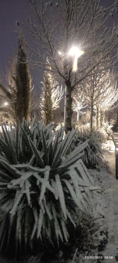 دریاچه بوستان مهر