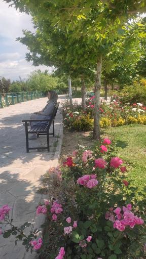 دریاچه بوستان مهر