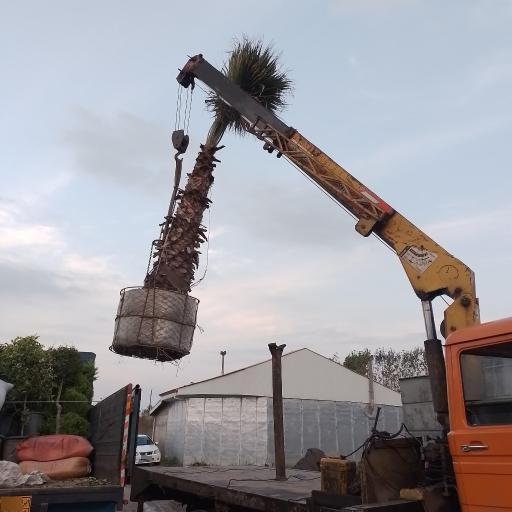 عکس جرثقیل شبانه روزی پوراسماعیلی