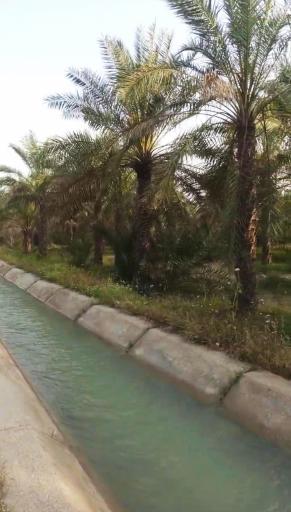 عکس سعدآباد