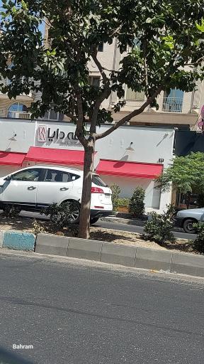 عکس کافه دایا